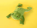 Froggie Dissection Lab