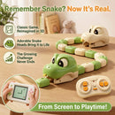 Remote Control Magnetic Snake Battle Toy
