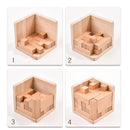 Wooden Brain Teaser Puzzle Toys Educational Toys for Kids and Adults