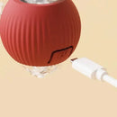 Pet Indoor Intelligent Interactive Toy Ball