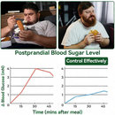 Healrize™ Metabolism Support Patch