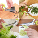 ZAYTÉRA™ 5-Blade Herb Scissors – 2-Piece Set