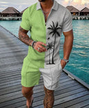 Men's Summer Tracksuit Sports Suit Men Set 3D Printed Casual Short Sleeve T Shirt Lapel Zip Polo Shirt Male Clothing Jogging