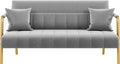 56.5" W Modern Loveseat 2 Seater Sofa Luxurious Velvet Fabric Couch with Gold-Tone Metal Arms and Legs for Bedroom, Studio Pink