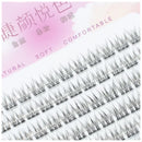 Clusters Eyelash 10 Rows Fish Tail Fluffy Natural C Curl Beauty Makeup Extension Tools Daily Wispy Single Cluster False lashes