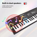 BIGFUN 61 Key Electronic Keyboard Piano Dual Speakers 8 Tones 5 Rhythms 5 Drums Percussions 6 Demos Musical Instrument with Mic